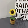 Mini planta de girasol terminada en maceta