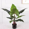 Simulated Rainbow Taro 80CM