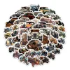 60 pezzi