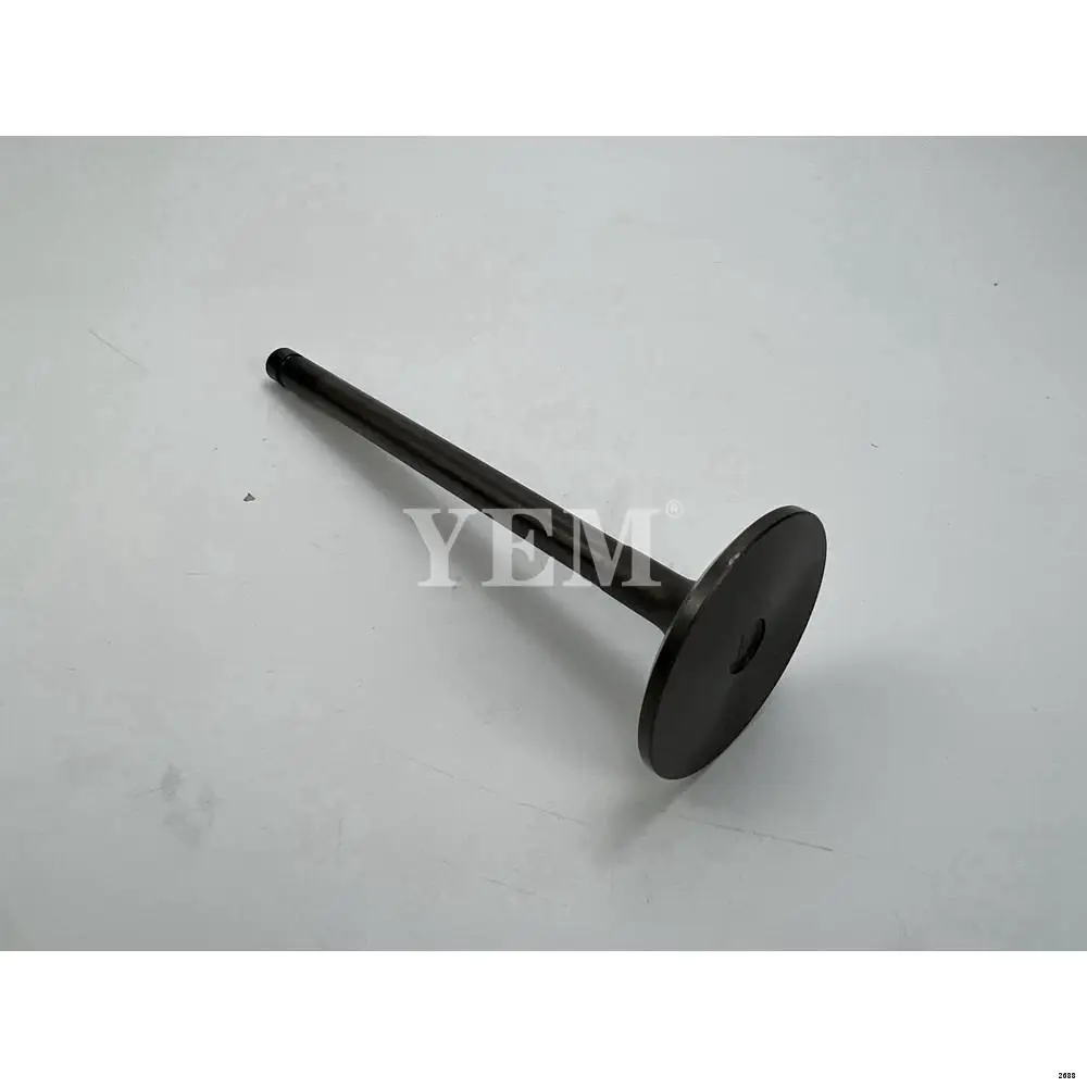 EH700 Engine Inlet Valve for Hino