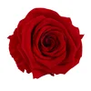 Deep RED