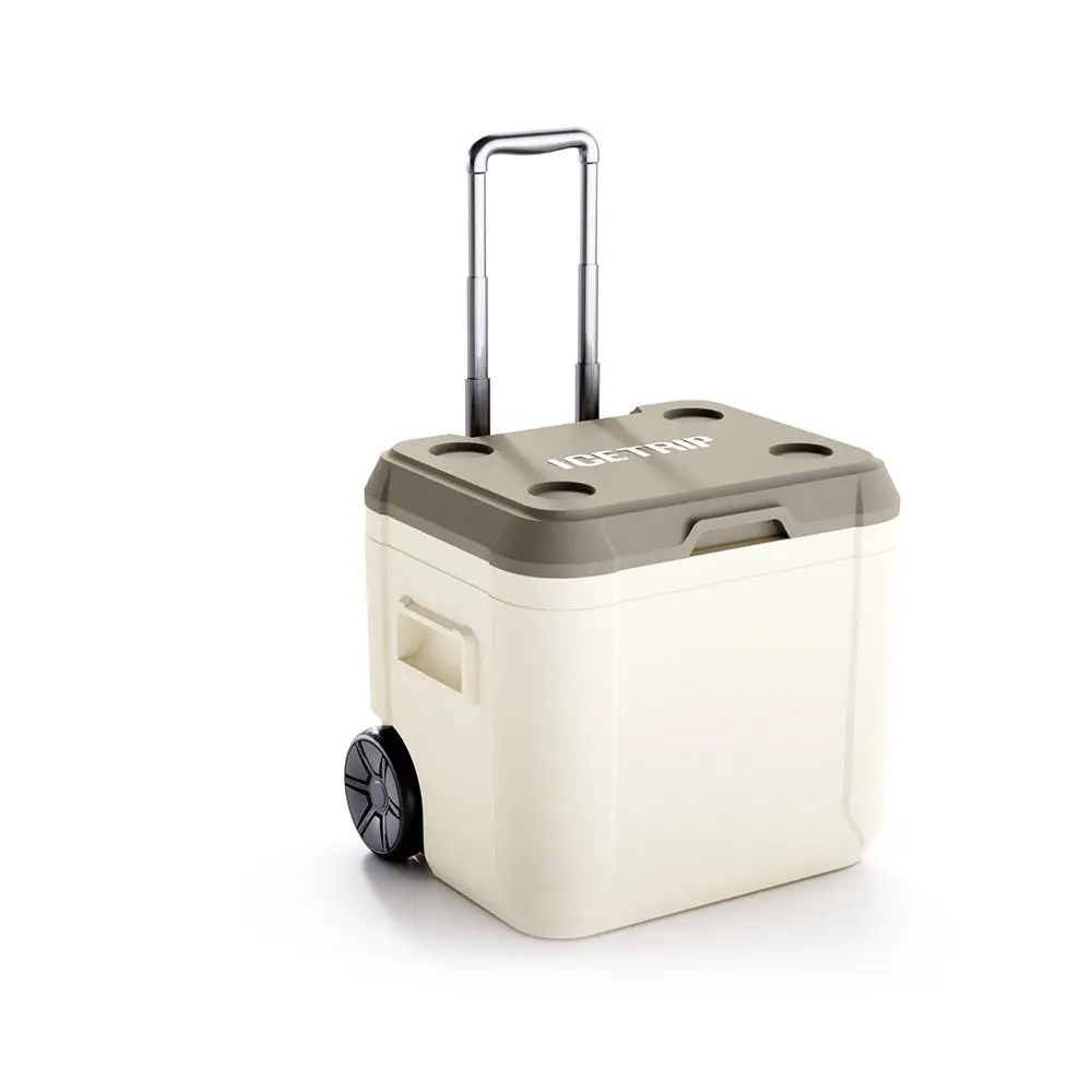 Fish Cooler Cold Box Large Igloo Coolers Portable Outdoor Picnic 52L Coolerbox