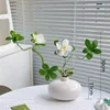 Una azalea blanca en una botella redonda de tamaño mediano.