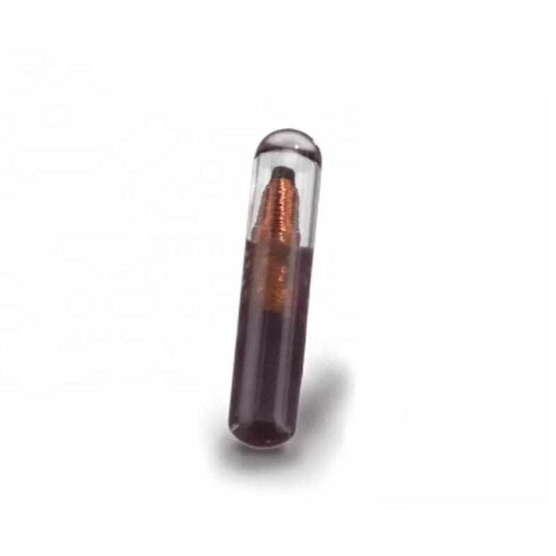 Auto Transponder Chip ID 48 Crypto Unlocked Car Key with Glass Tube for VW/AUDI/PASSAT/SKODA/GOLF Blank Keys