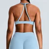 Light Blue bra