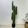 Cactus vert 125cm quatre mains