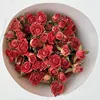 Cristallo rosso delicato