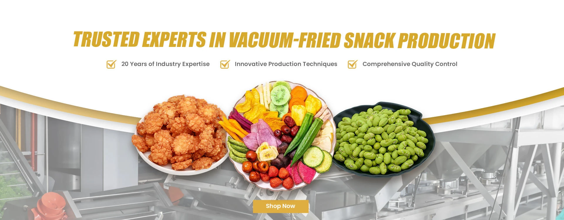 Vacuum Fried Carrot Crisps Bulk Supply | Wholesale Manufacturer H0b3d3d7310e1444b9221b07a193882c0V