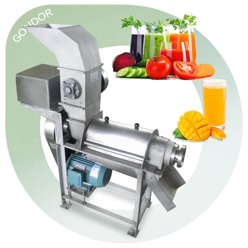1 Kw Carrot Tomato Apricot Cactus Cashew Soursop Process Juice Pulper  Extractor Fruit and Pulp Machine for Sale