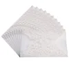 white shell