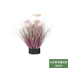 Diseño floral de espuma con encaje rosa de 7 cabezas y 50 cm (base de espuma).