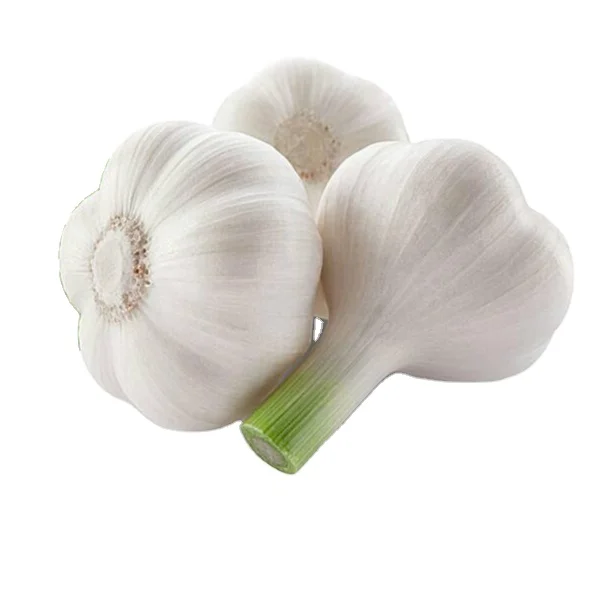 Chinese fresh white garlic with factory prices