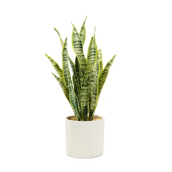 Wholesale High-quality Artificial Snake Plant Indoor Office Succulent Cactus Plant Plastic Small Artificial Plants