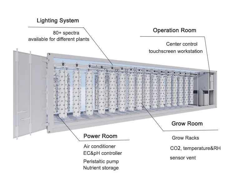 Smart Hydroponics Shipping Container Farm Vertical Tower Farming Containers Hydroponic Growing Systems for Vegetable