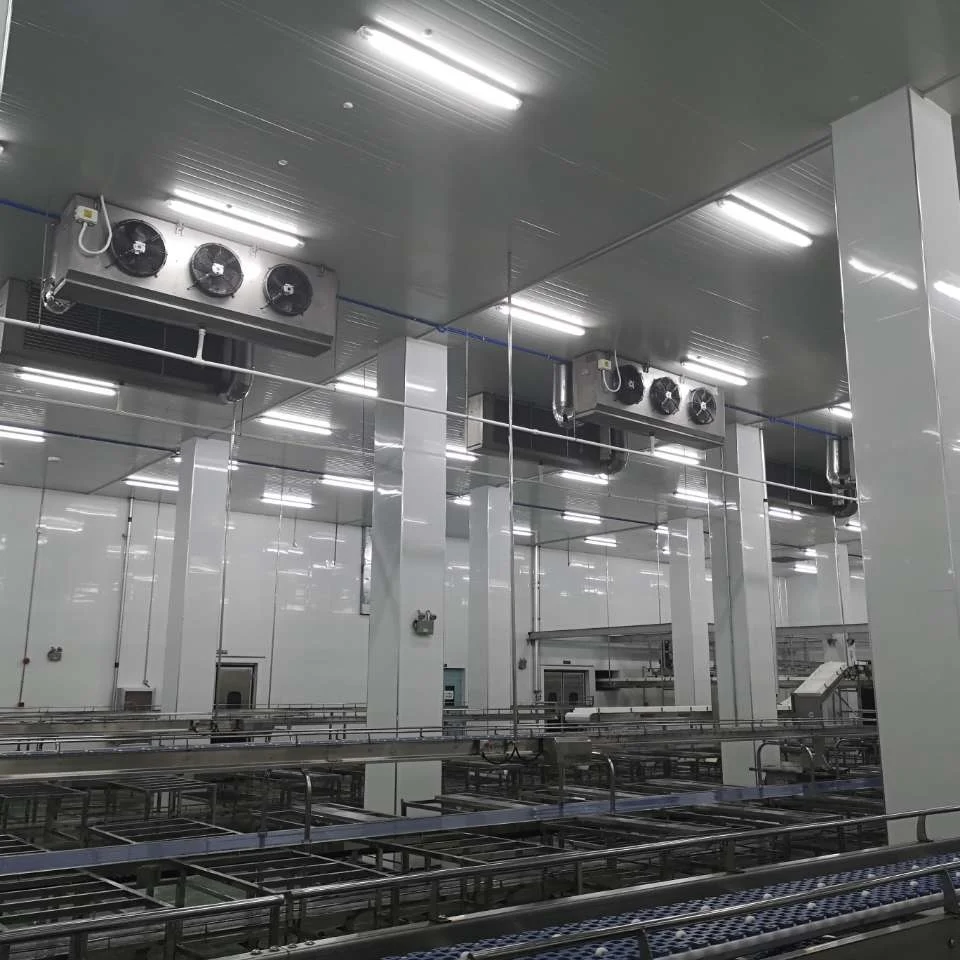 Frozen meat thawing chamber with efficient low temperature and high humidity control system