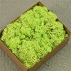 tender green
