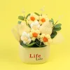 Great Fortune Pear Pear Blossom Vase (life pot)