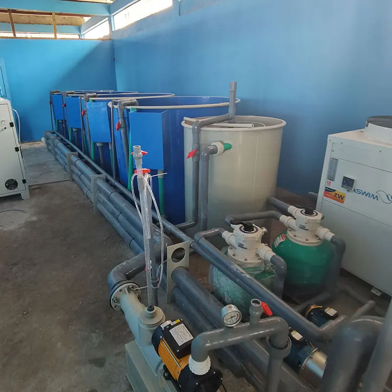 Wholesale Price Professional Factory OEM Custom Indoor Fish Farm Ras System Recirculating Equipment for Sea Water