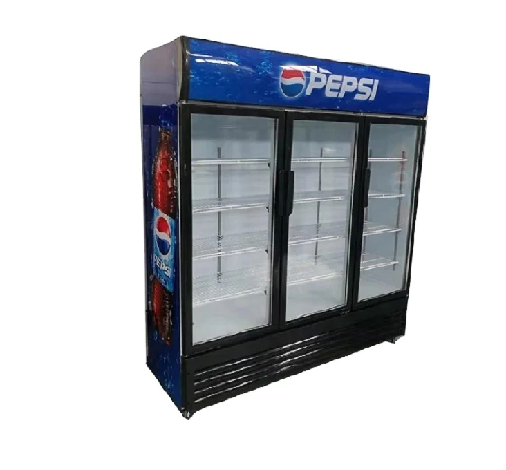 Pepsi double hot sale door cooler