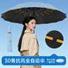 Sky Blue [30 Bone Wind Resistance]