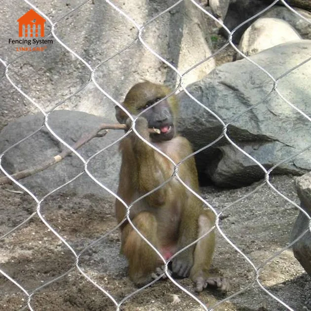 Bird Netting Zoo Enclosure Fence Tiger Cages Aviary Fencing Flexible Stainless Steel Cable Mesh