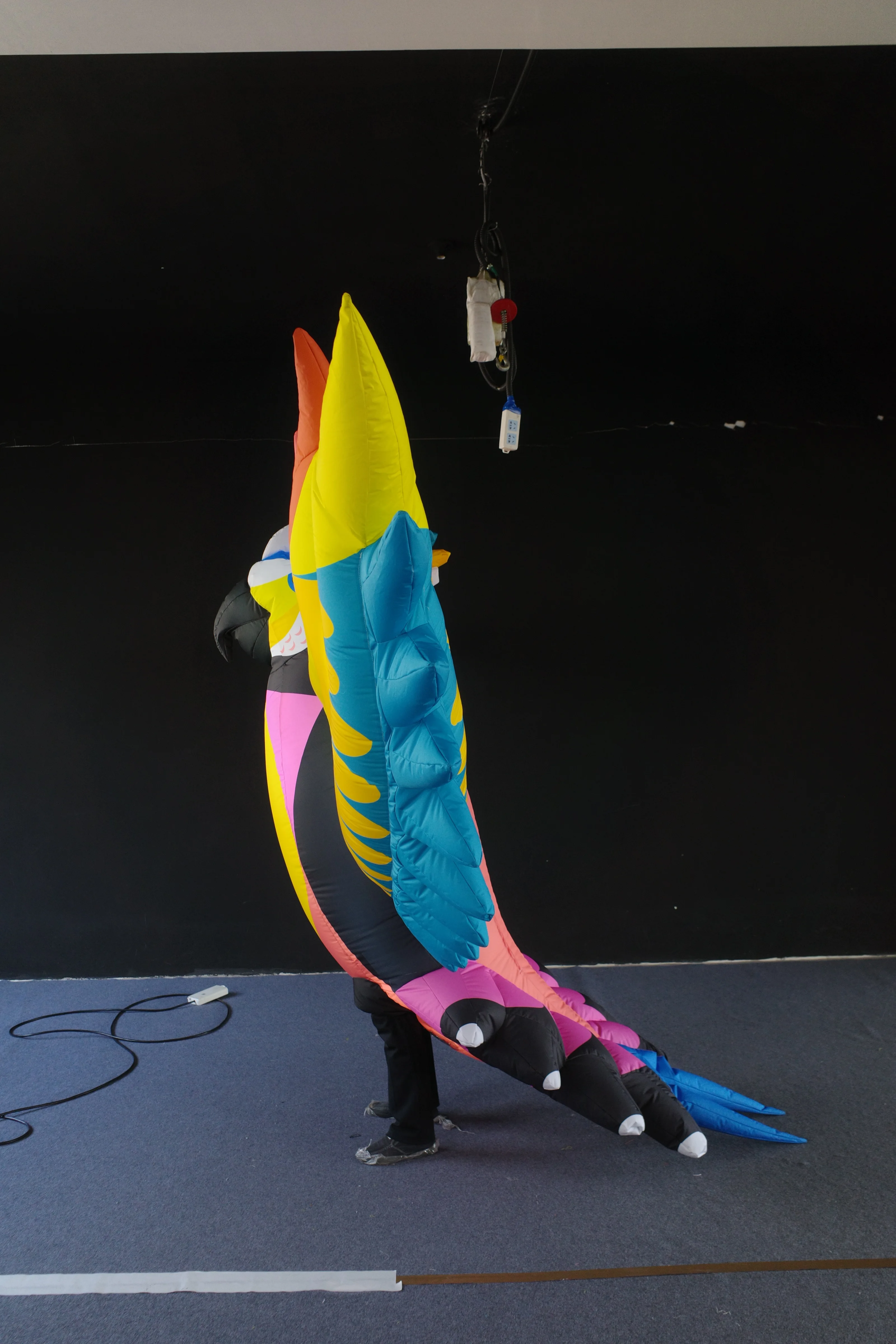 Custom Made Inflatable Bird Costume, Personalized Inflatable for Stage Show & Parade