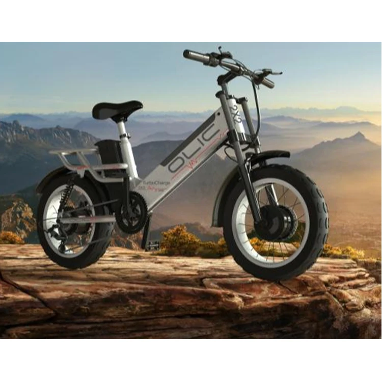 Motors 250w-500w \u0026 2 Batteries 30ah 