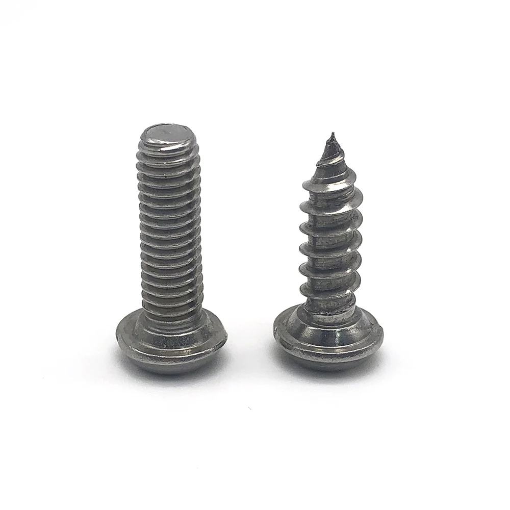 SS304 SS316 Custom Rvs Twee Gaten Snake Ogen Anti-Diefstal Beveiliging Schroef