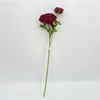 burgundy 5