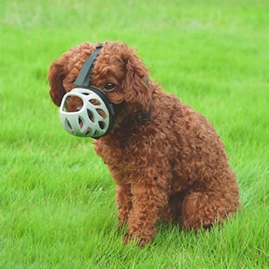 muzzle training puppy
