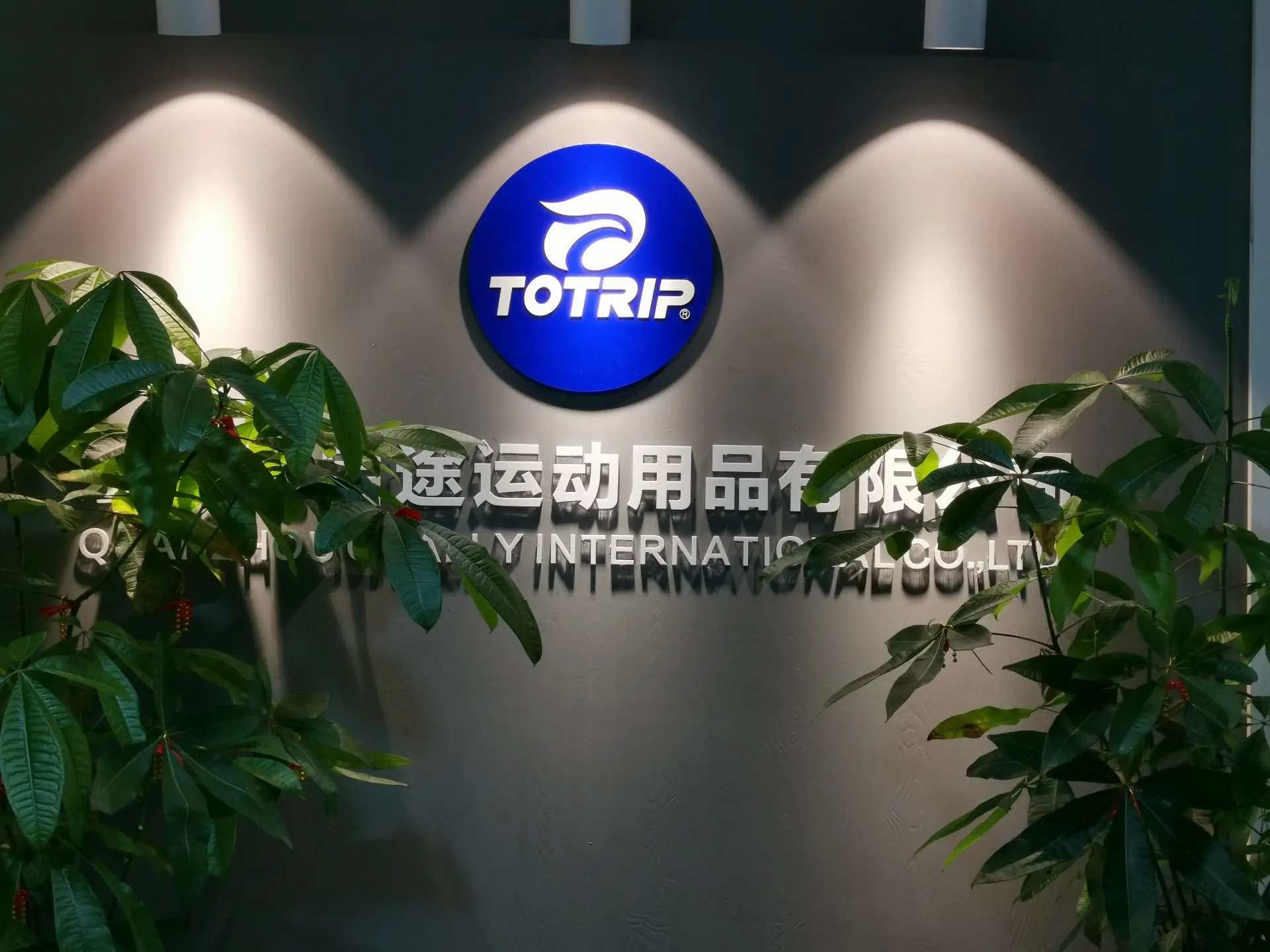 Quanzhou Chally Sport Goods Company Limited