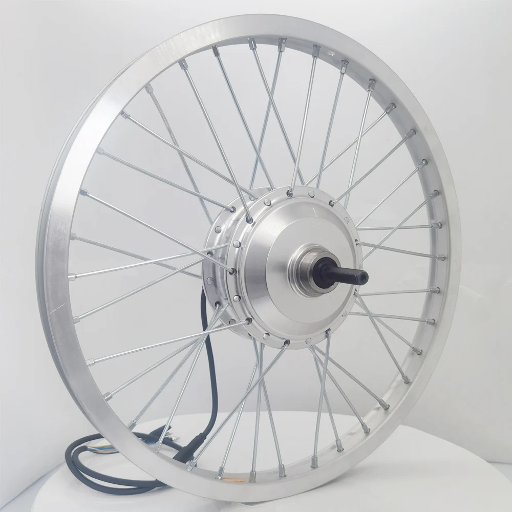 20 Inch Brushless Geared Hub Motor for Electric Bicycle, 36V/48V