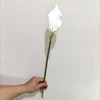 blanc YL80450-1