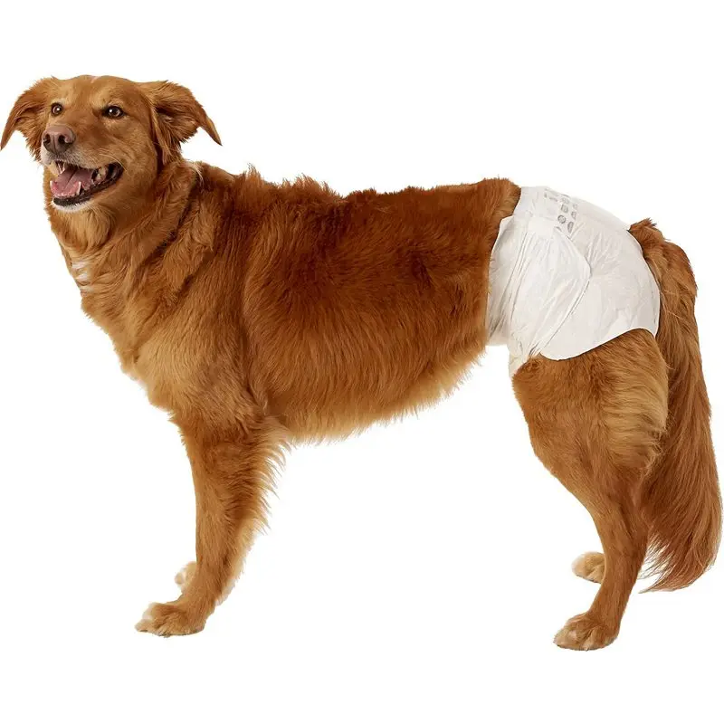 Wholesale Dog Diapers Sustainable Comfortable Solutions