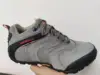 Grigio
