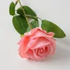 Pink - B