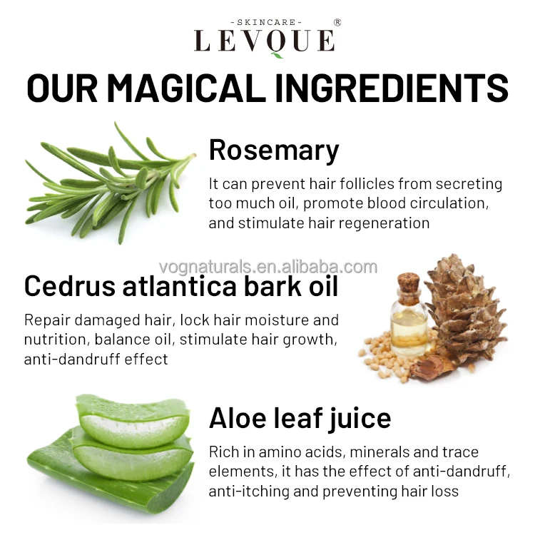 Hair Growth Rosemary Oil Shampoo And Conditioner For