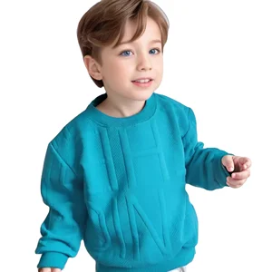 Autumn Winter Boys Casual Clothing 3D Bear Pattern Embossed Sweatshirt and Shirts Kids' Collection