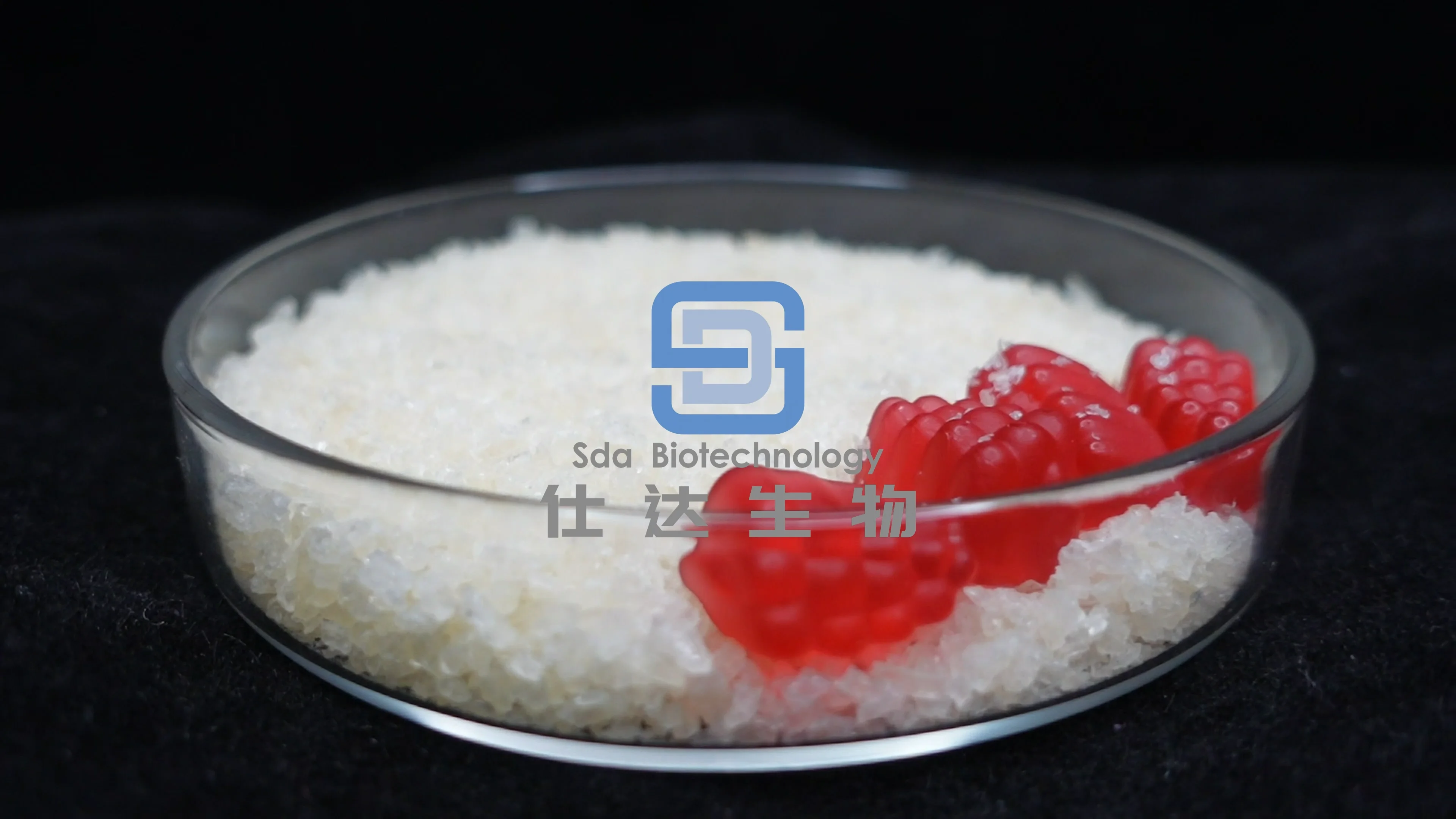 Wholesale Gelatin Softcapsule Superior Purity Gelatin Hydrolysate Halal