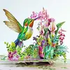 Hummingbird Orchid