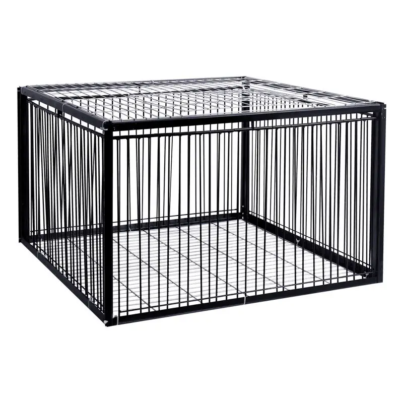 Foldable Galvanised Pigeon Bird Trap Cage Feral Pigeon Humane Way With ...