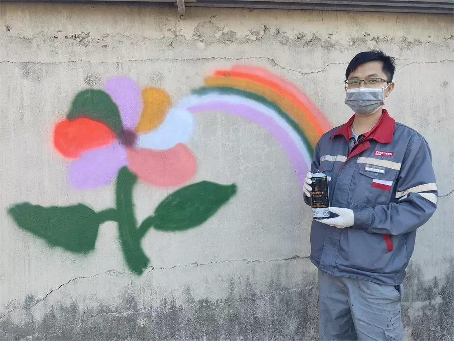 Theaoson Art Graffiti Erosol Spray Acrylic Spray Paint Street Paint