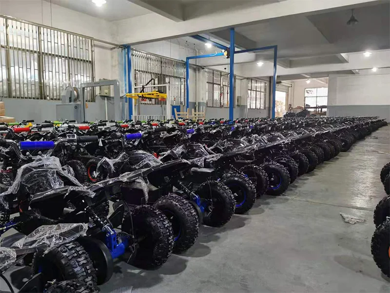 Wuyi Mole Motion Apparatus Co., Ltd.