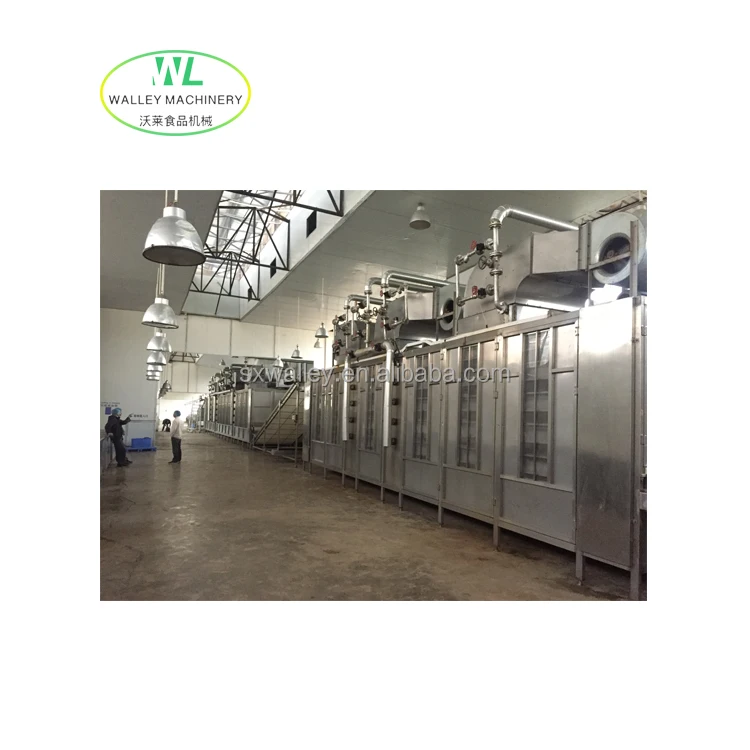 Customizing Continuous Single Layer Belt Dryer for Garlic and Onion