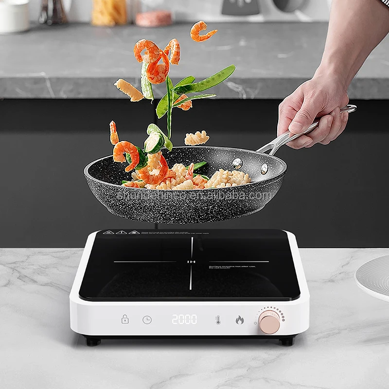 2000W Home Hot Plate Electric Induction Cooktop Portable Kitchen Induction Stove OEM ODM Induction Cooker
