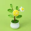 orange potted plant