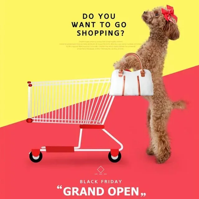 Burritos Pet Blanket For Dog And Cat Lightweight And Comfortable