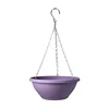 สีม่วง