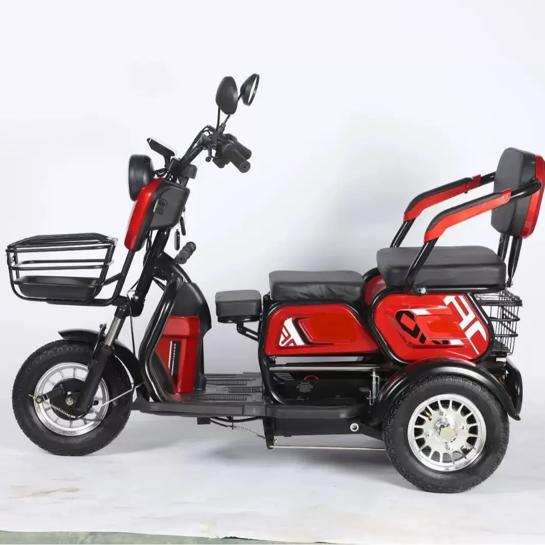 China Factory Passenger-Cargo Electric Tricycle for Adults 48V
