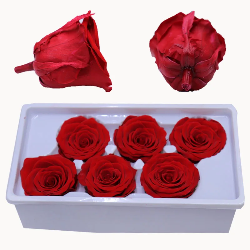 Rosmary Preserve Flower Rose Decorative Heads In Gift Box Floral